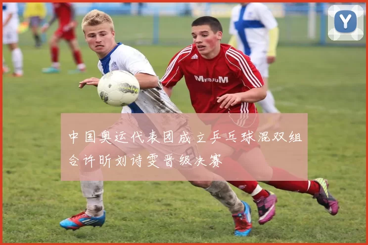 中国奥运代表团成立乒乓球混双组合许昕刘诗雯晋级决赛