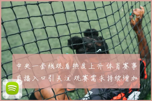 中央一套线观看热度上升 体育赛事直播入口引关注 观赛需求持续增加