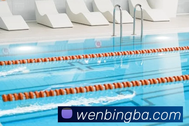 星空官方登录网站平台生态图