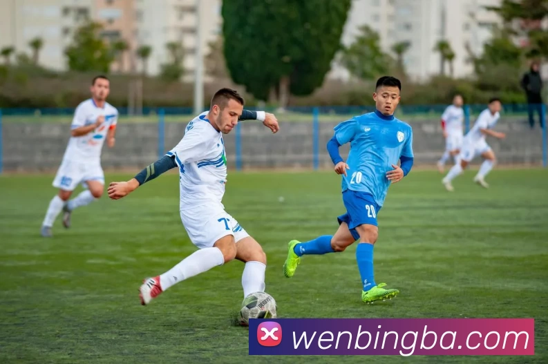 星空官方登录网站APP 封面图